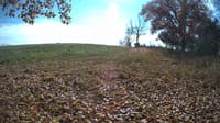 The field cam, Oct 29, 2023 at 11:04am