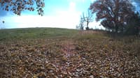 The field cam, Oct 29, 2023 at 11:05am