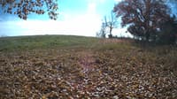 The field cam, Oct 29, 2023 at 11:06am