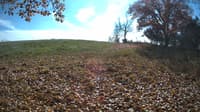 The field cam, Oct 29, 2023 at 11:29am