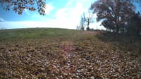 The field cam, Oct 29, 2023 at 11:30am