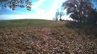 The field cam, Oct 29, 2023 at 11:34am