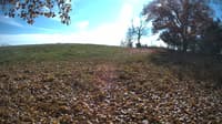 The field cam, Oct 29, 2023 at 11:35am