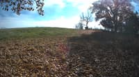 The field cam, Oct 29, 2023 at 12:12pm
