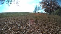 The field cam, Oct 30, 2023 at 9:42am