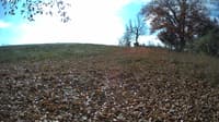 The field cam, Oct 30, 2023 at 9:45am