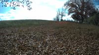 The field cam, Oct 30, 2023 at 9:52am