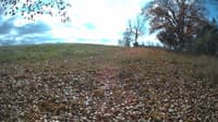The field cam, Oct 30, 2023 at 10:29am