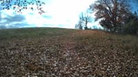 The field cam, Oct 30, 2023 at 10:30am