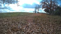 The field cam, Oct 30, 2023 at 10:44am