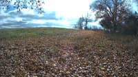 The field cam, Oct 30, 2023 at 11:14am