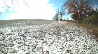 The field cam, Oct 31, 2023 at 9:47am