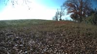 The field cam, Nov 3, 2023 at 9:05am