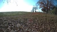 The field cam, Nov 3, 2023 at 9:20am
