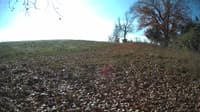The field cam, Nov 3, 2023 at 9:26am