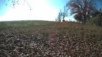 The field cam, Nov 3, 2023 at 9:30am