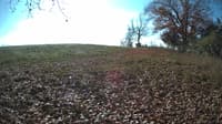The field cam, Nov 3, 2023 at 9:47am