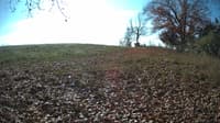 The field cam, Nov 3, 2023 at 9:50am