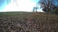 The field cam, Nov 3, 2023 at 10:00am