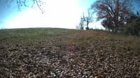 The field cam, Nov 3, 2023 at 10:23am