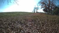 The field cam, Nov 3, 2023 at 10:30am