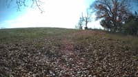 The field cam, Nov 3, 2023 at 10:34am