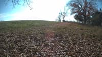 The field cam, Nov 3, 2023 at 10:50am