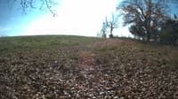 The field cam, Nov 3, 2023 at 10:56am