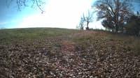 The field cam, Nov 3, 2023 at 10:56am