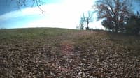 The field cam, Nov 3, 2023 at 11:19am