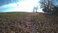 The field cam, Nov 3, 2023 at 11:22am