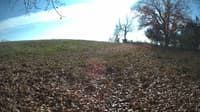 The field cam, Nov 3, 2023 at 11:24am