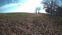 The field cam, Nov 3, 2023 at 11:31am