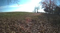 The field cam, Nov 3, 2023 at 11:46am