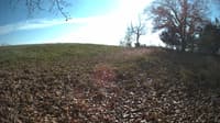 The field cam, Nov 3, 2023 at 11:49am