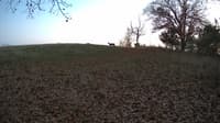The field cam, Nov 3, 2023 at 4:08pm
