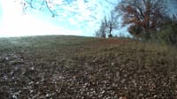 The field cam, Nov 4, 2023 at 8:05am
