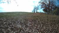 The field cam, Nov 4, 2023 at 10:04am