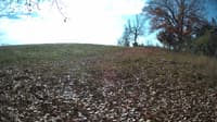 The field cam, Nov 4, 2023 at 10:08am