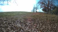 The field cam, Nov 4, 2023 at 10:10am