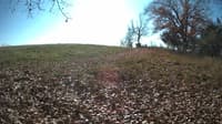 The field cam, Nov 4, 2023 at 10:43am