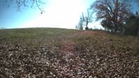 The field cam, Nov 4, 2023 at 10:51am
