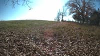 The field cam, Nov 4, 2023 at 10:58am