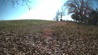 The field cam, Nov 4, 2023 at 11:00am