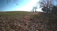 The field cam, Nov 4, 2023 at 11:52am