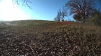 The field cam, Nov 9, 2023 at 7:10am