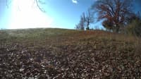The field cam, Nov 9, 2023 at 7:46am