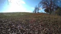The field cam, Nov 9, 2023 at 8:14am