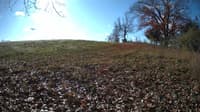 The field cam, Nov 9, 2023 at 8:20am