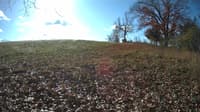 The field cam, Nov 9, 2023 at 8:25am